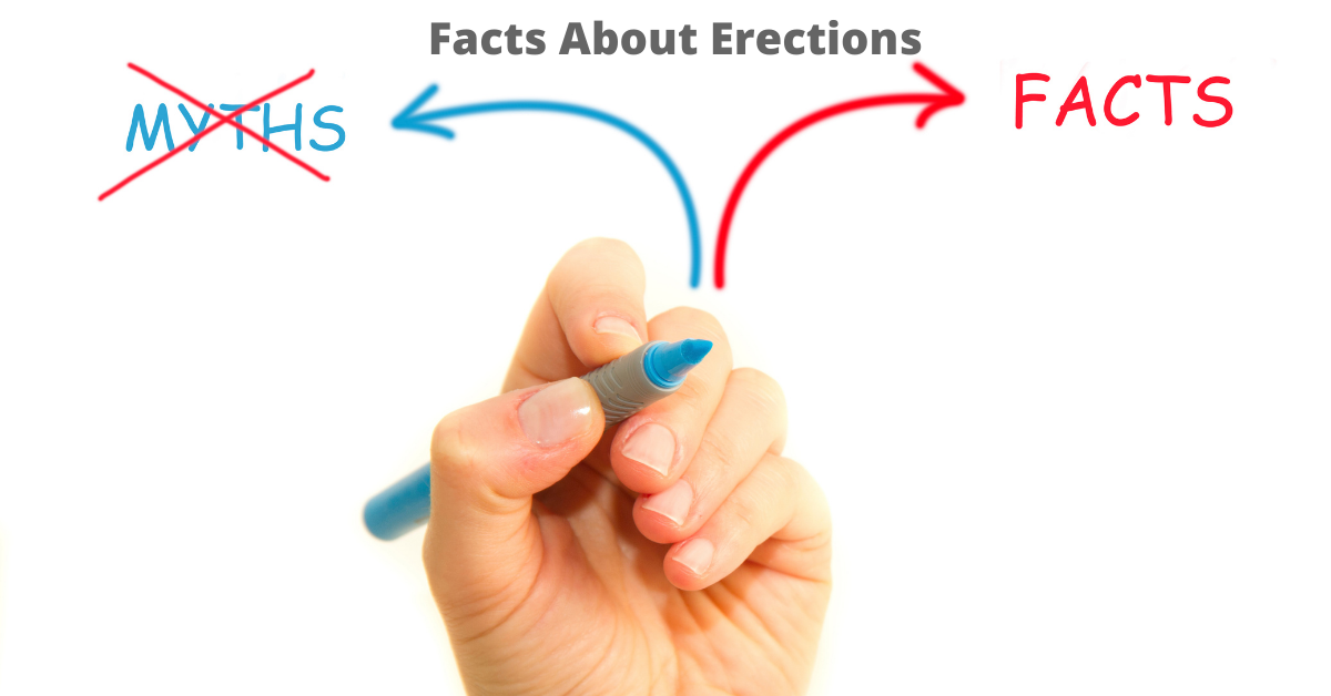 Facts About Erections