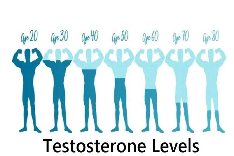 Levels of Testosterone